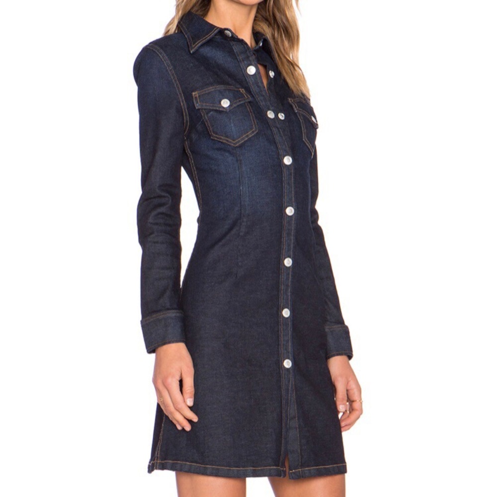 alexis chung pixie jean dress!
